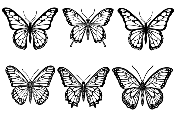 Butterfly Vector Graphics & Illustrations Review