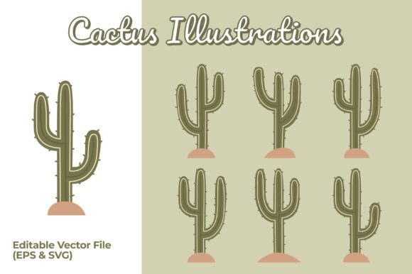Cactus Flat Illustrations: A Designer's Review
