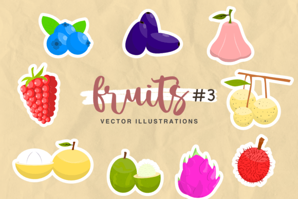 Fruits Vector Illustrations 3 Graphics & Illustrations